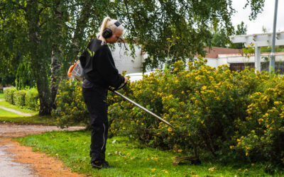 Taloyhtiön pihanhoito – pieni kustannus, suuri vaikutus