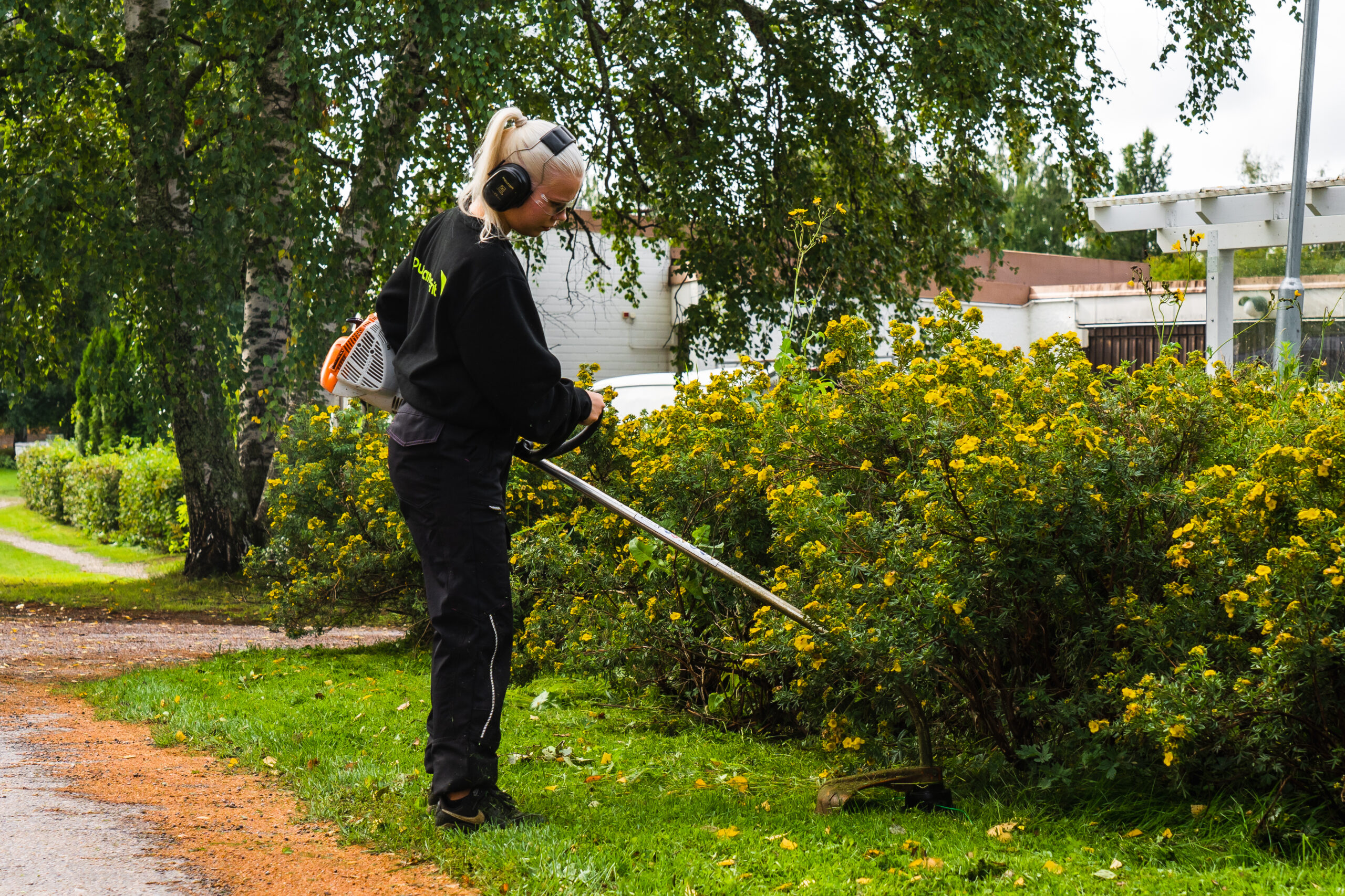 Taloyhtiön pihanhoito Oulu ja Jyväskylä Taloyhtiön pihanhoito Oulu ja Jyväskylä