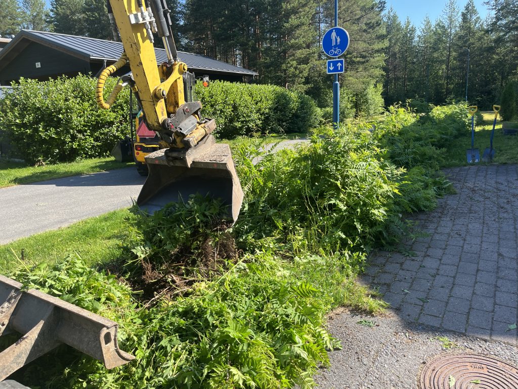 vieraslajien hävittäminen oulu jyväskylä